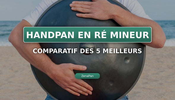 Lima handpan terbaik dalam D minor (perbandingan)